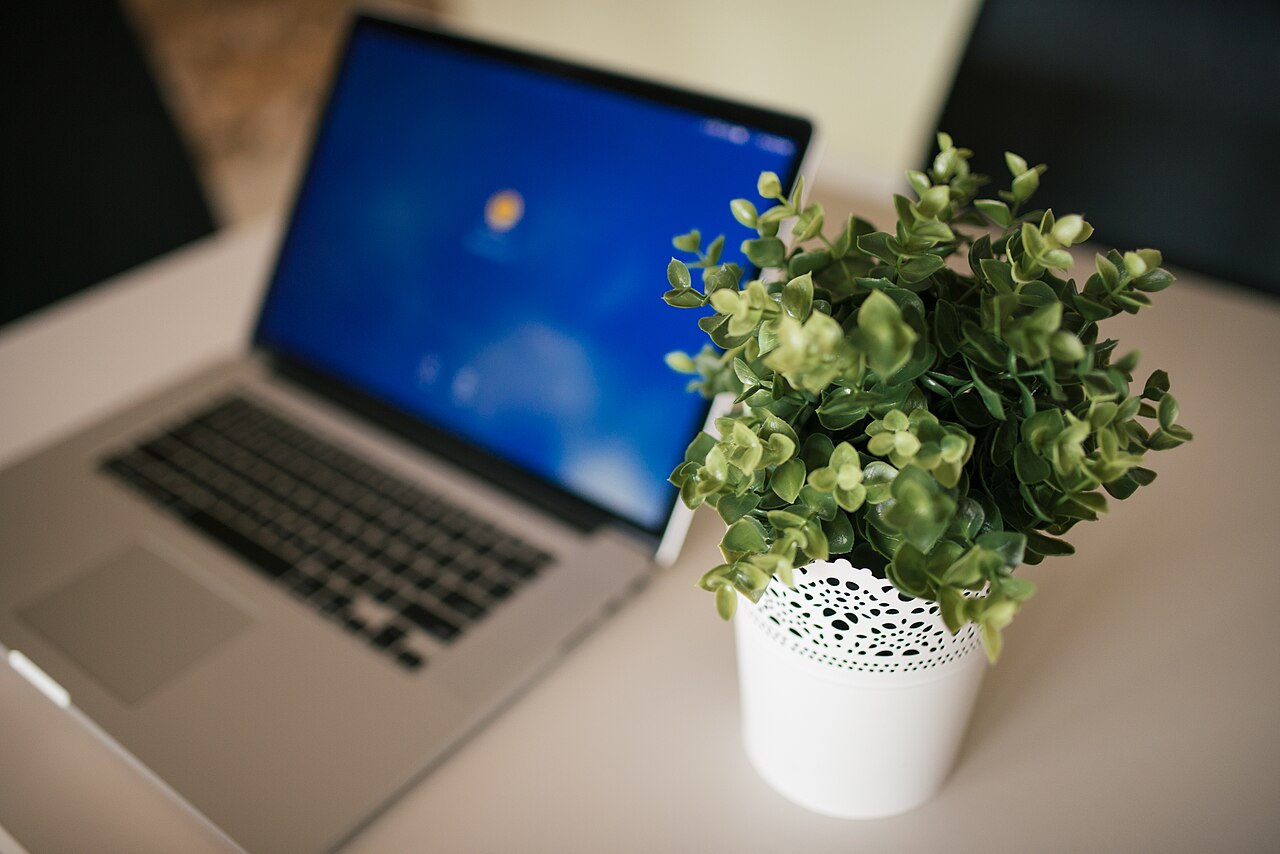 Espacio de trabajo de desarrollo